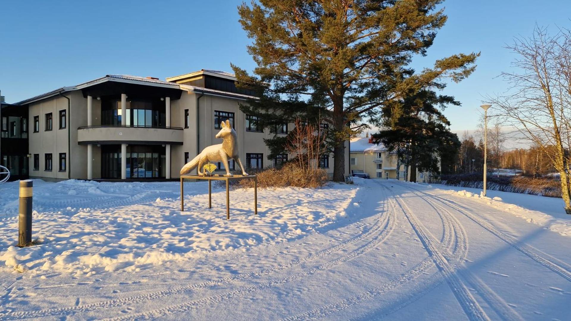 Hostel Majoitus Fox Kuopio Zewnętrze zdjęcie